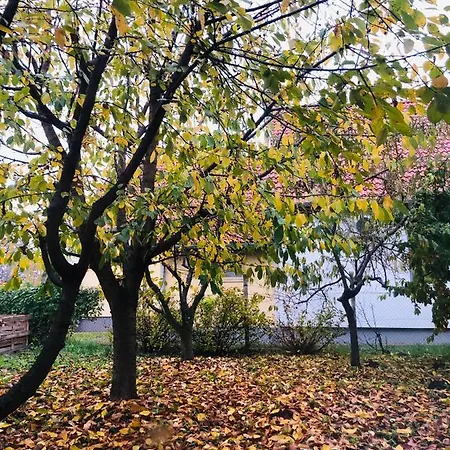 Apartman Club Mansion -siófok *